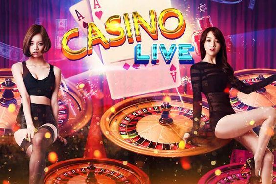 3 Lucky Piggy Live Betting